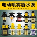 💧 12V Electric Diaphragm Water Pump, Micro Sprayer, High Pre 1