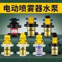 💧 12V Electric Diaphragm Water Pump, Micro Sprayer, High Pre 17